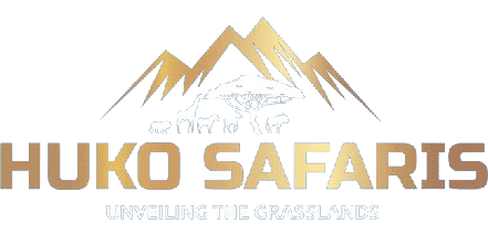 Huko Safaris